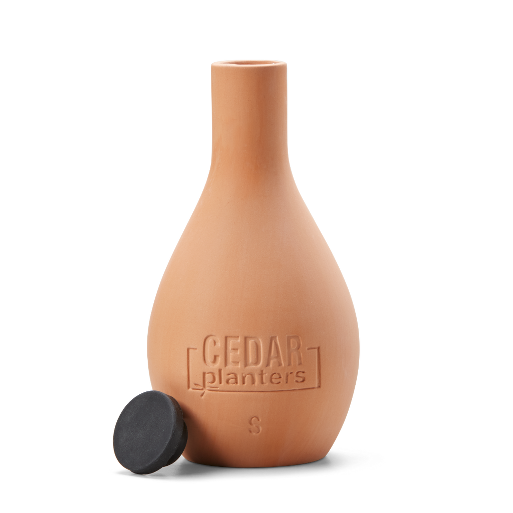 Cedar Planters Self-Watering Clay Olla Pot Small (500 mL) | Heirloom Boulevard