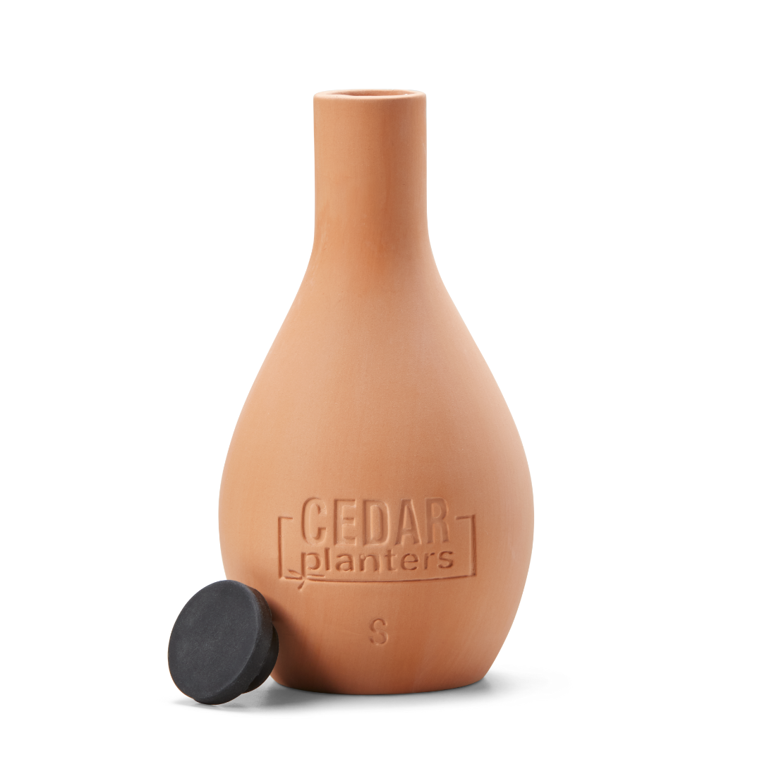 Cedar Planters Self-Watering Clay Olla Pot Small (500 mL) | Heirloom Boulevard