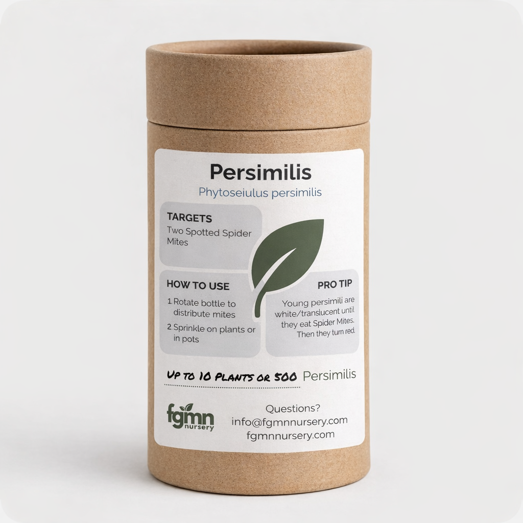 FGMN Nursery Phytoseiulus persimilis | Heirloom Boulevard