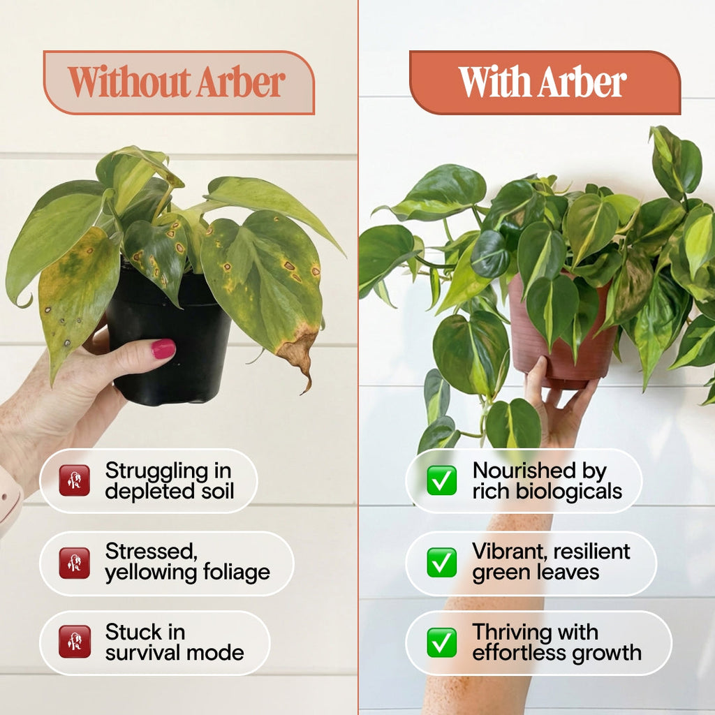 Arber Organic Plant Food | Heirloom Boulevard