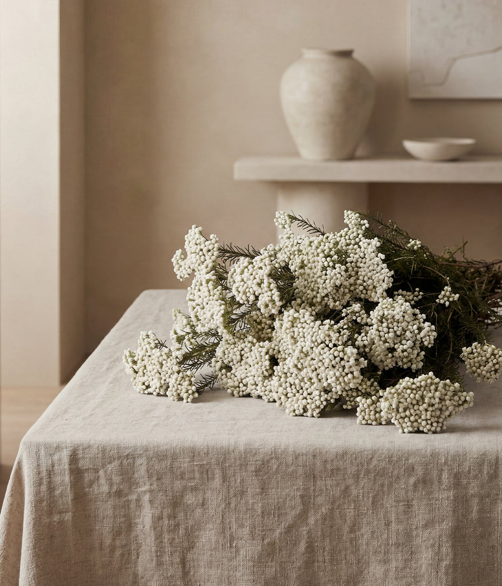 Bloomist Preserved White Rice Flower | Heirloom Boulevard