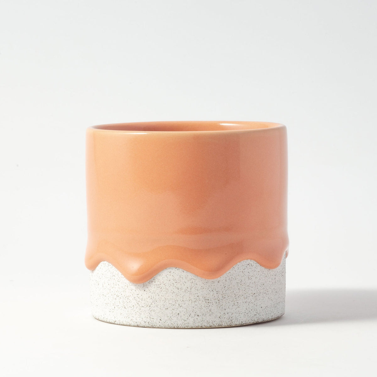 Squat Cylinder Pumpkin (seasonal) | Heirloom Boulevard