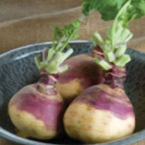RUTABAGA Seeds, American Purple Top | Heirloom Boulevard