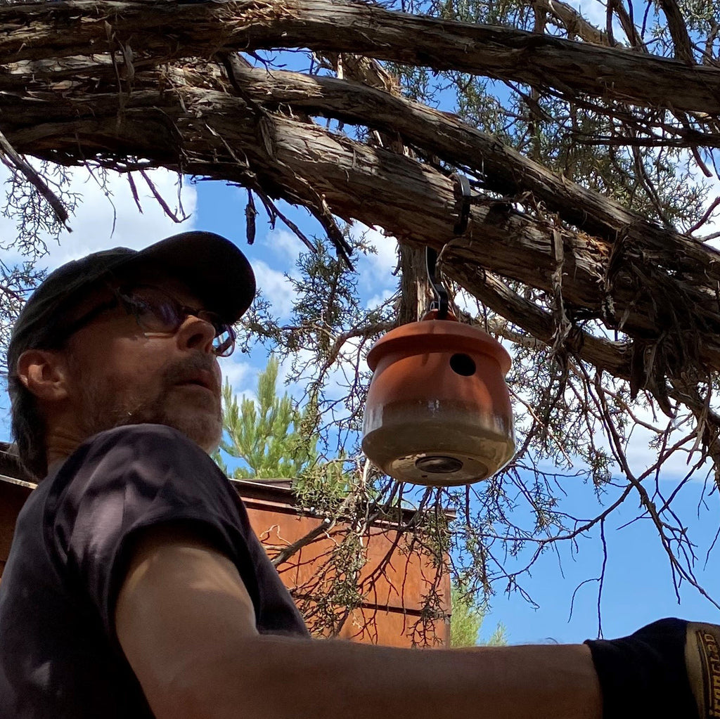 Byer of Maine Return Bird Home