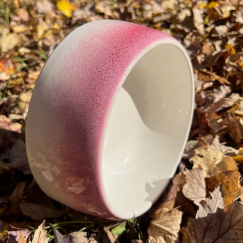 Byer of Maine  Pet Bowl - Roll Over Red