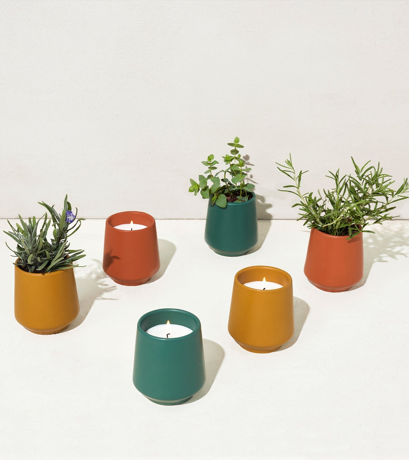 Modern Sprout Rooted Candles