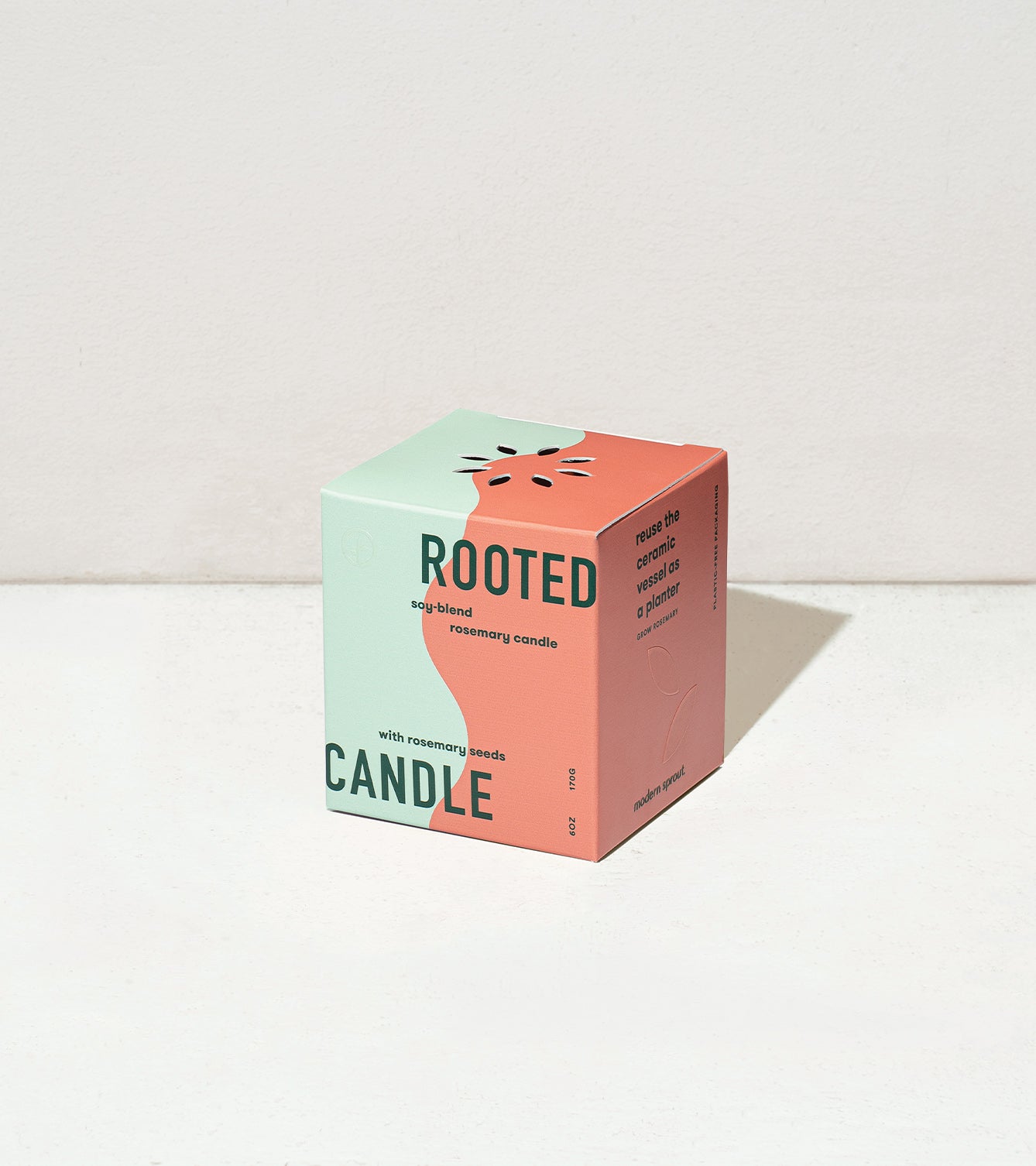 Modern Sprout Rooted Candles