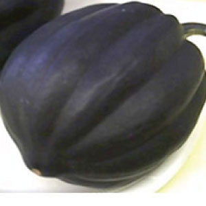 SQUASH (Acorn) Seeds, Table Queen | Heirloom Boulevard