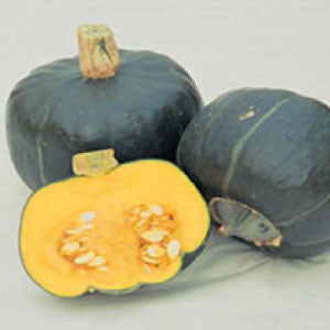 SQUASH (Buttercup) Seeds, Burgess | Heirloom Boulevard