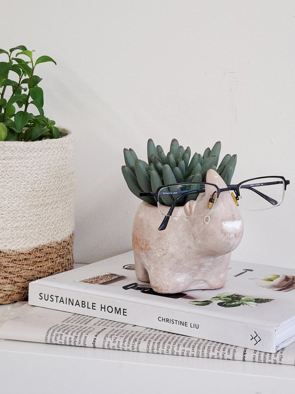 Terracotta Pot - Rhino KORISSA | Heirloom Boulevard