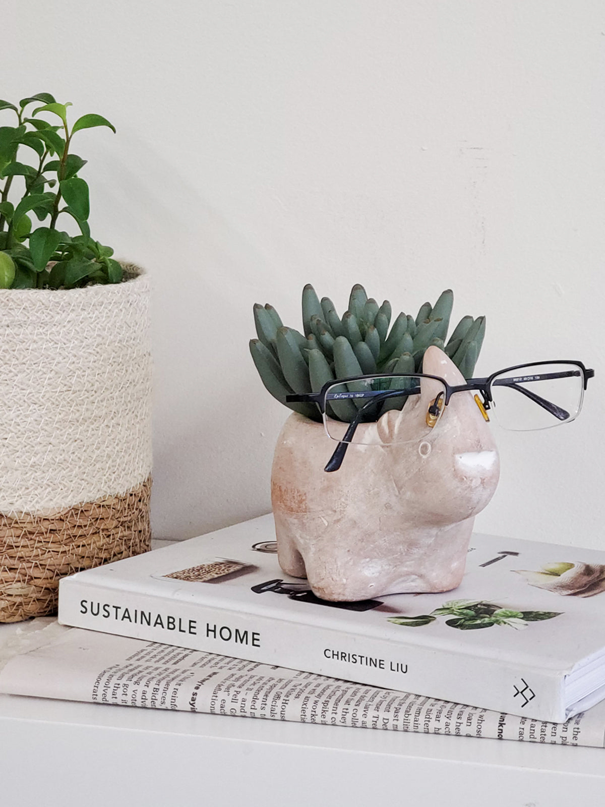 Terracotta Pot - Rhino KORISSA | Heirloom Boulevard