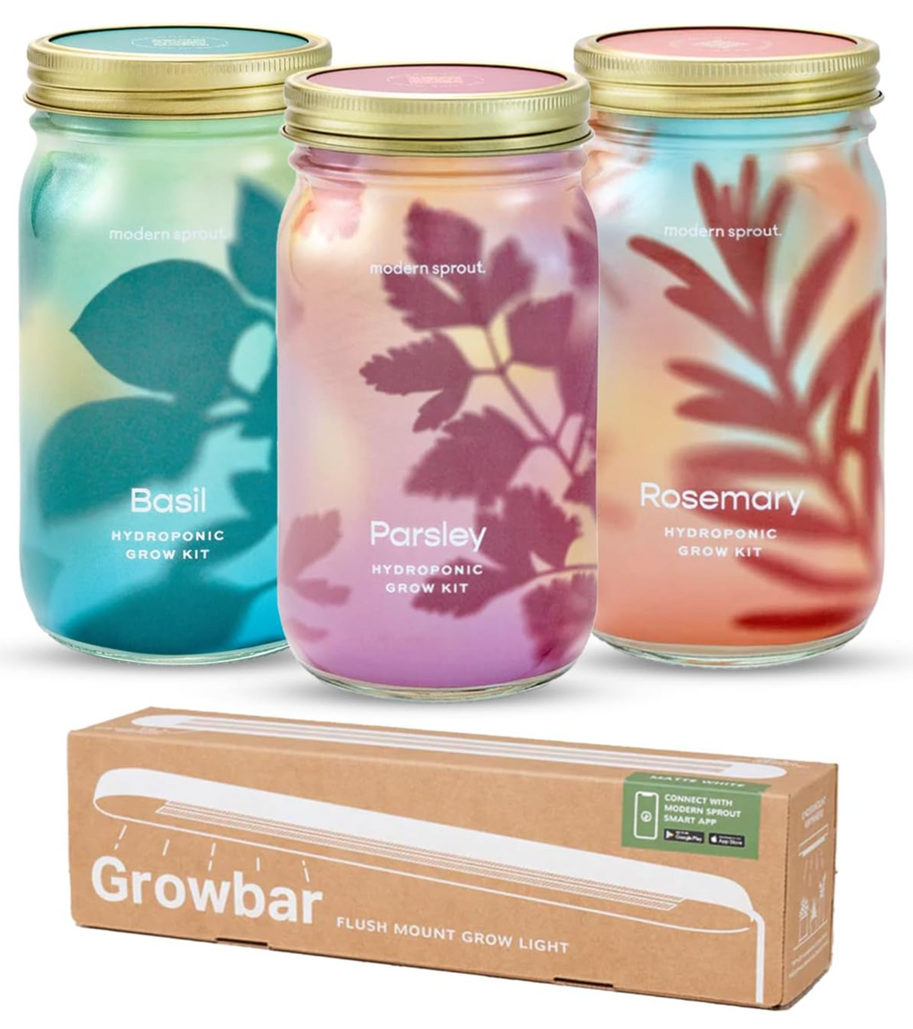 Modern Sprout Garden Jars - Organic Herbs Basil+Rosemary+Parsley 3pk - Growbar | Heirloom Boulevard