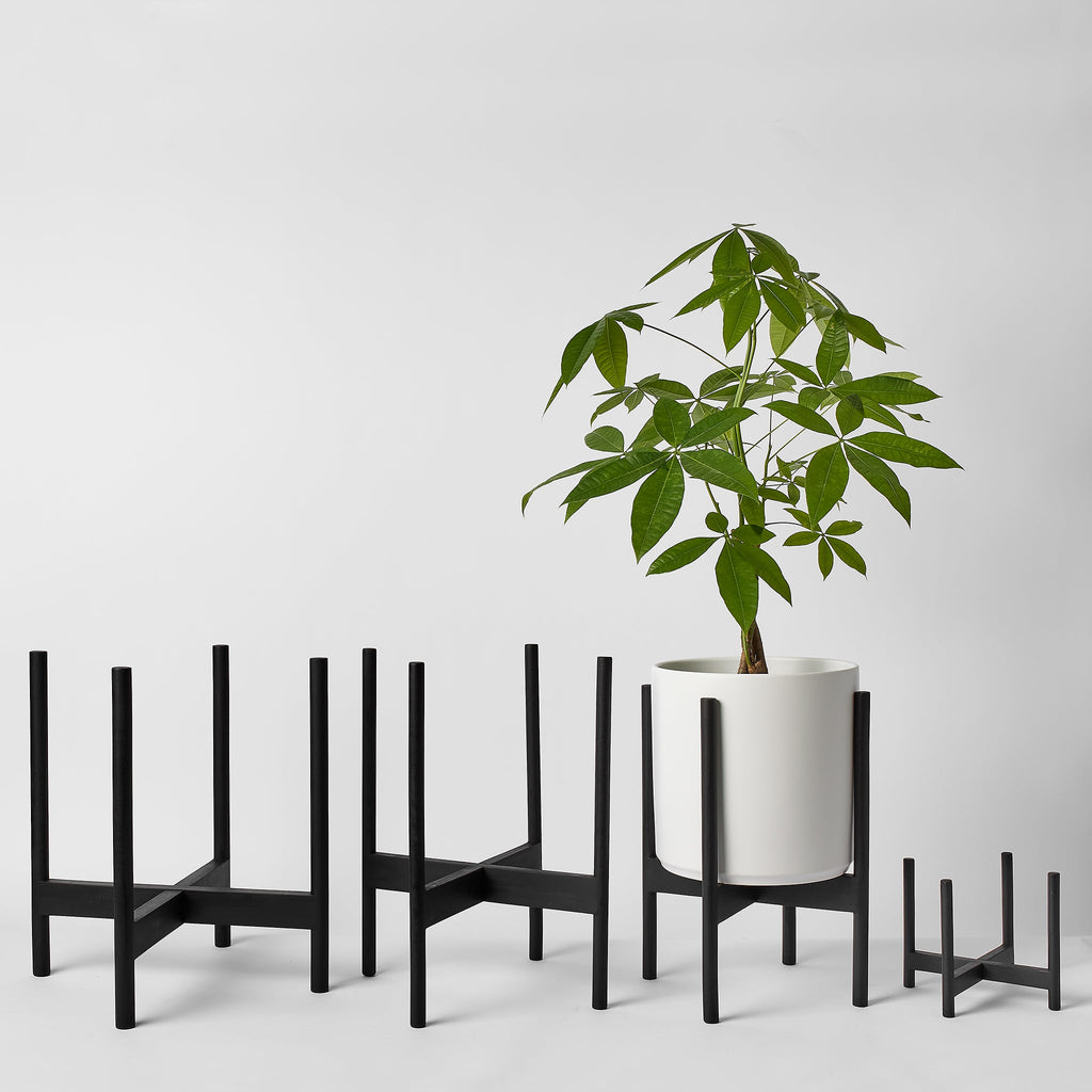 LBE Design Rounded Hardwood Plant Stand | Heirloom Boulevard