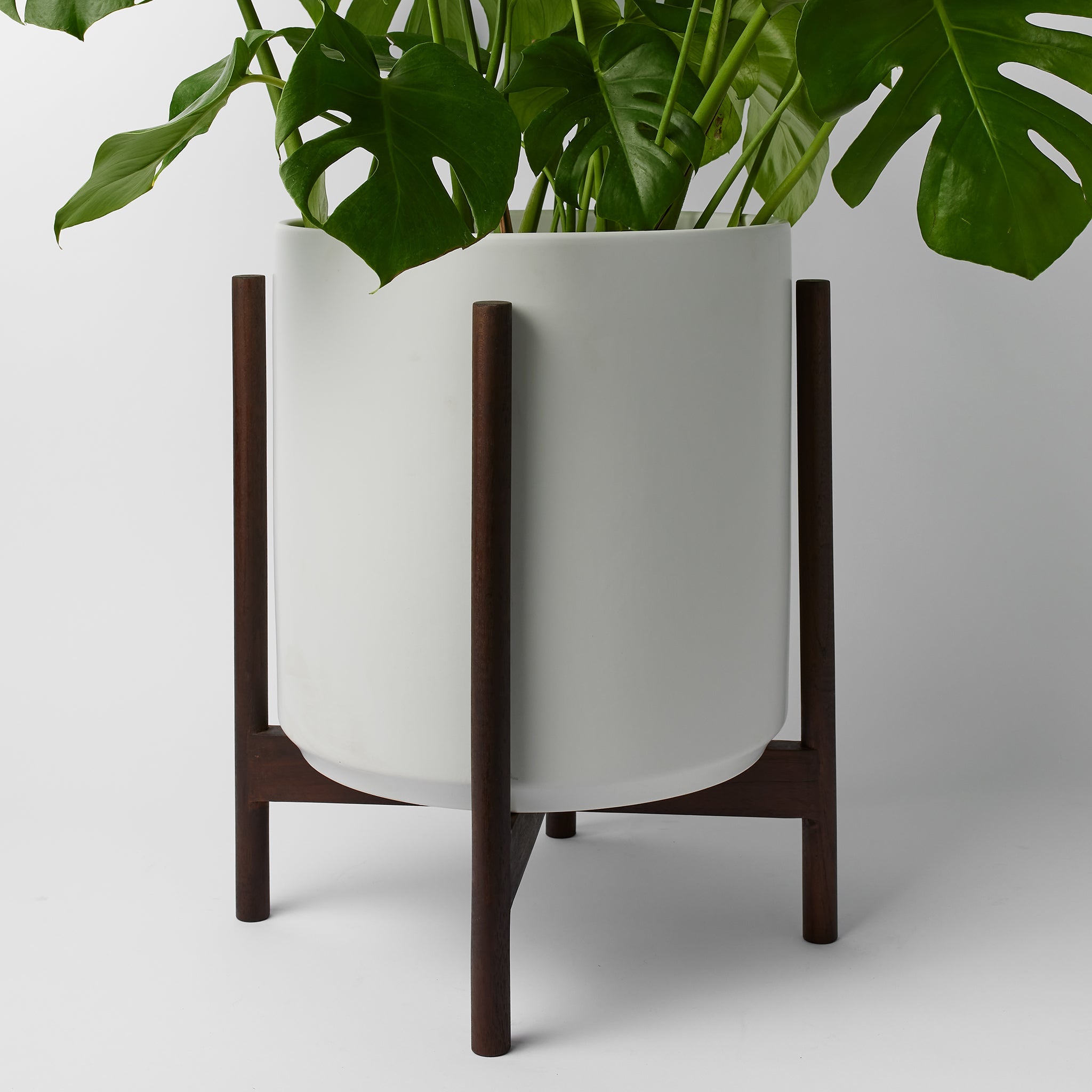 LBE Design Rounded Hardwood Plant Stand | Heirloom Boulevard