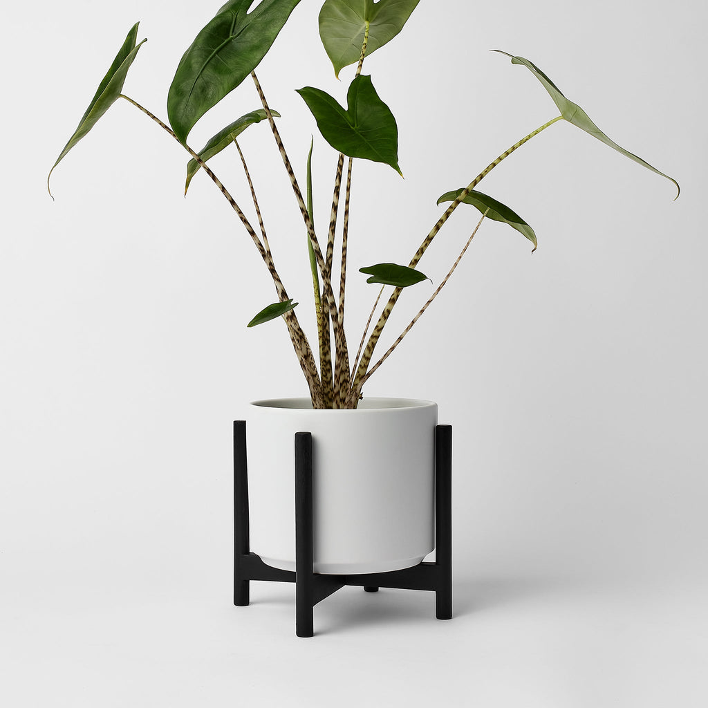 LBE Design Rounded Hardwood Plant Stand | Heirloom Boulevard