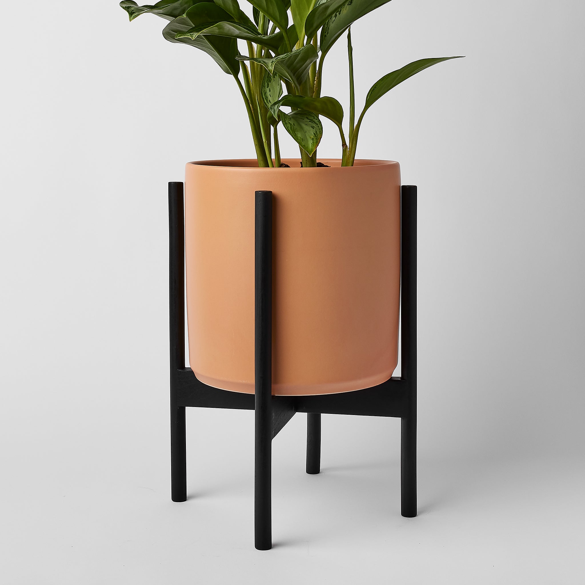 LBE Design Rounded Hardwood Plant Stand | Heirloom Boulevard