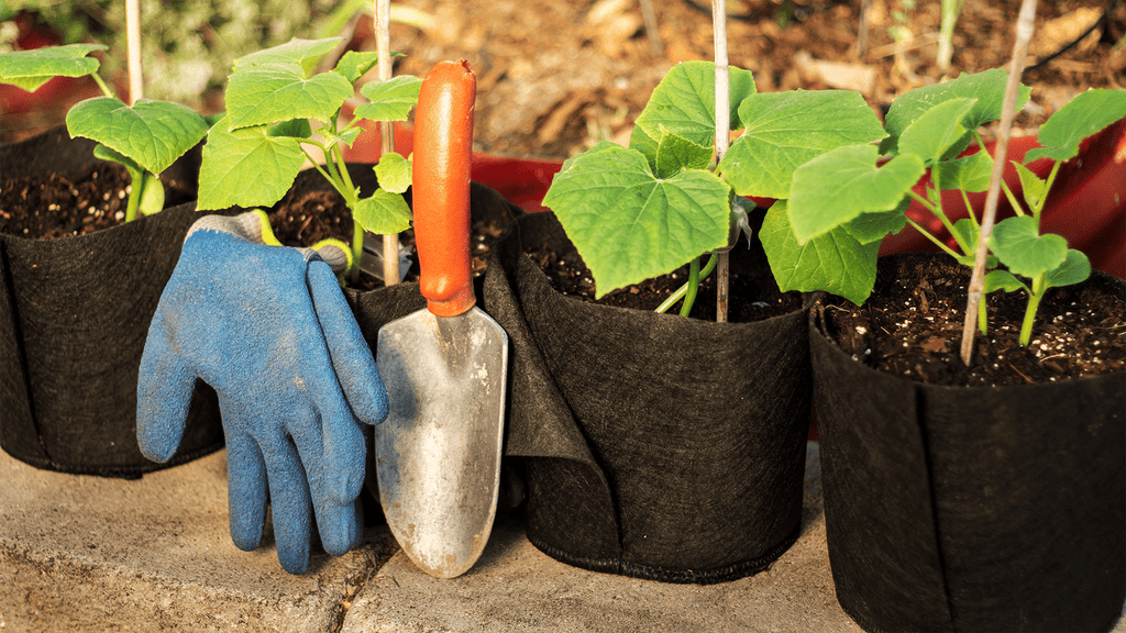 Smart Pot Transplanter | Heirloom Boulevard