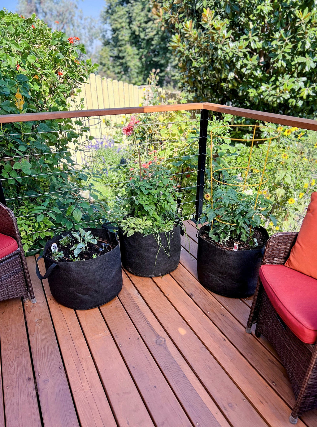Smart Pot 15-Gallon Vegetable Planters (3 Pack) | Heirloom Boulevard