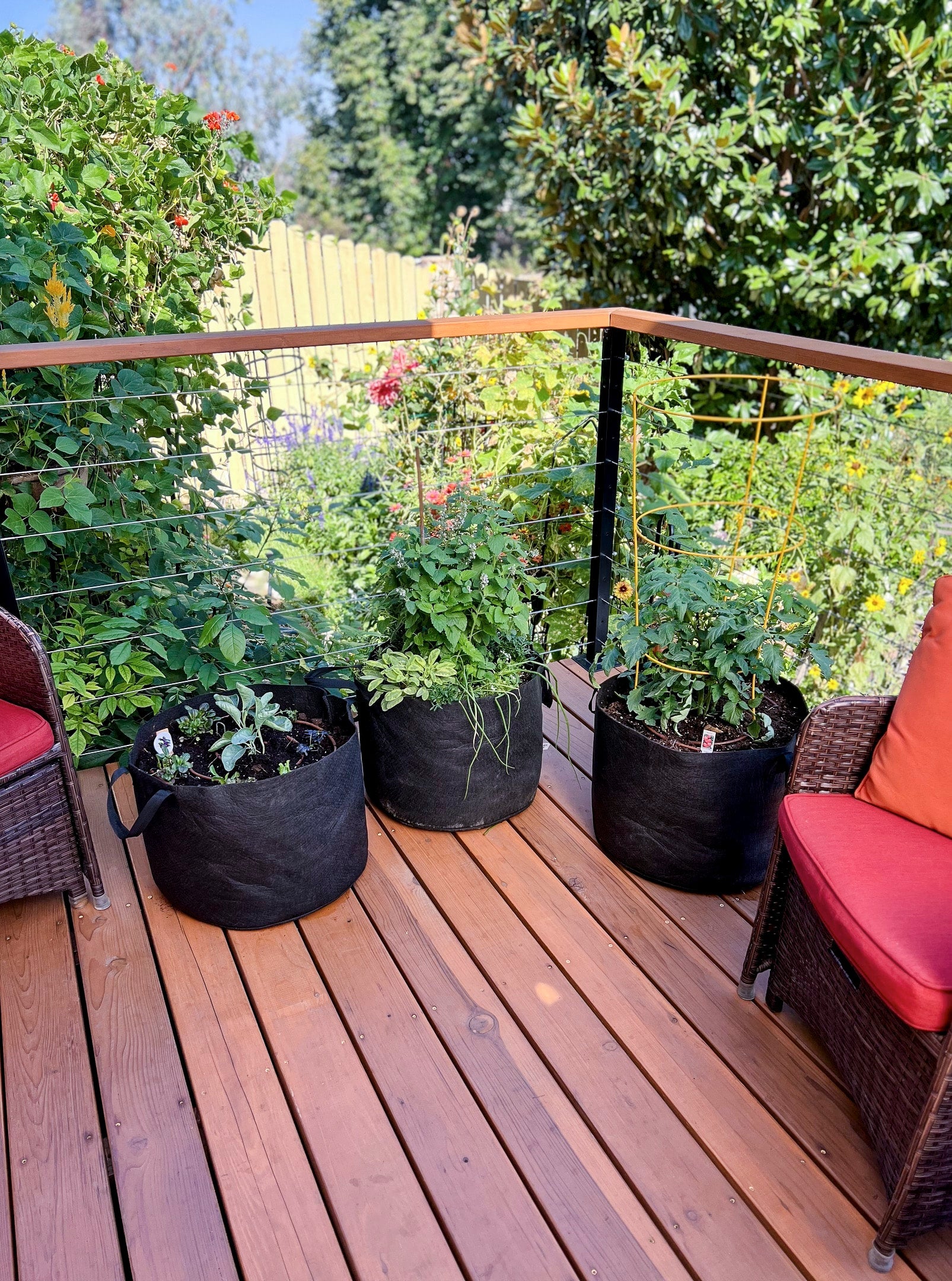 Smart Pot 15-Gallon Vegetable Planters (3 Pack) | Heirloom Boulevard