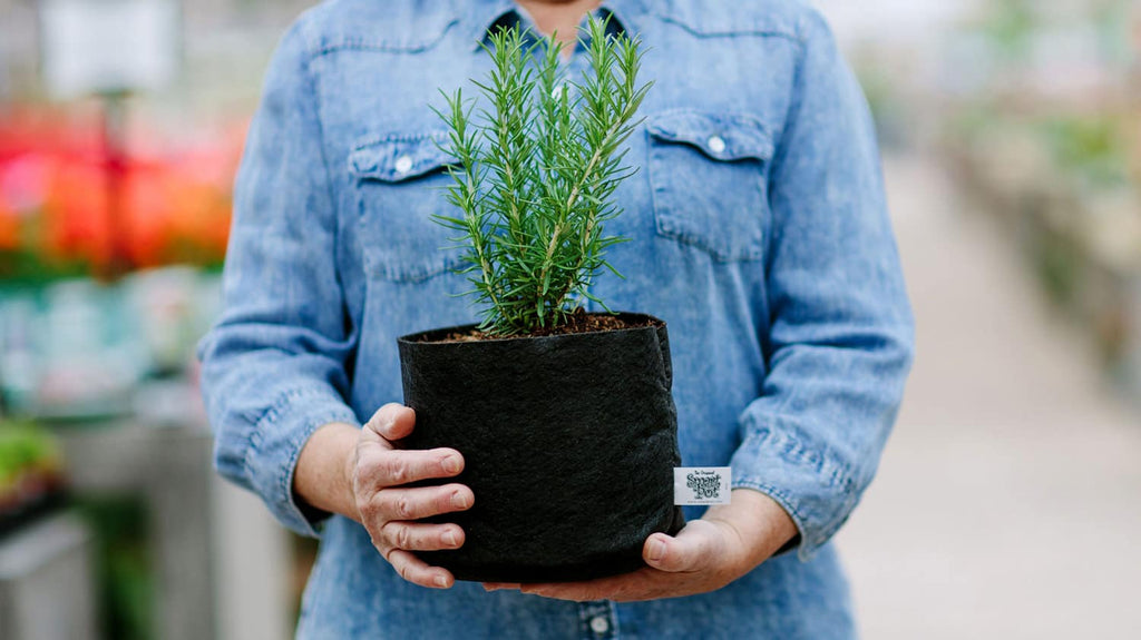 Smart Pot Fabric Planter | Heirloom Boulevard
