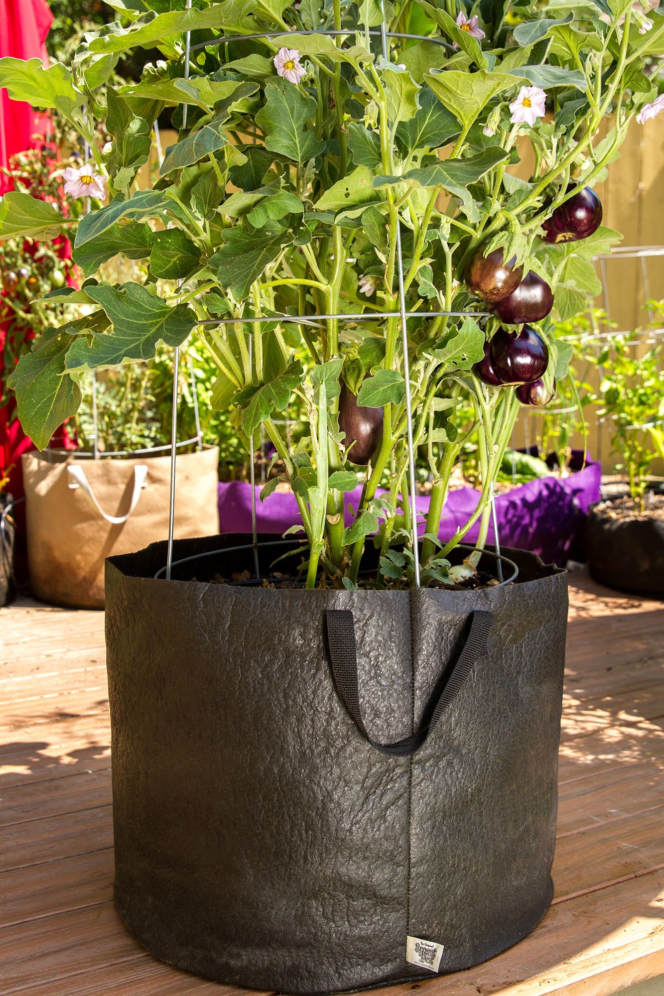 Smart Pot Fabric Planter | Heirloom Boulevard