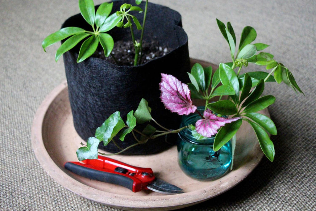 Smart Pot Fabric Planter | Heirloom Boulevard