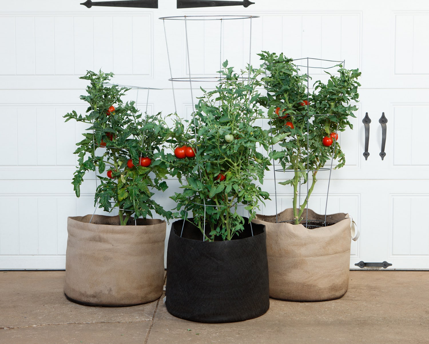 Smart Pot Fabric Planter | Heirloom Boulevard