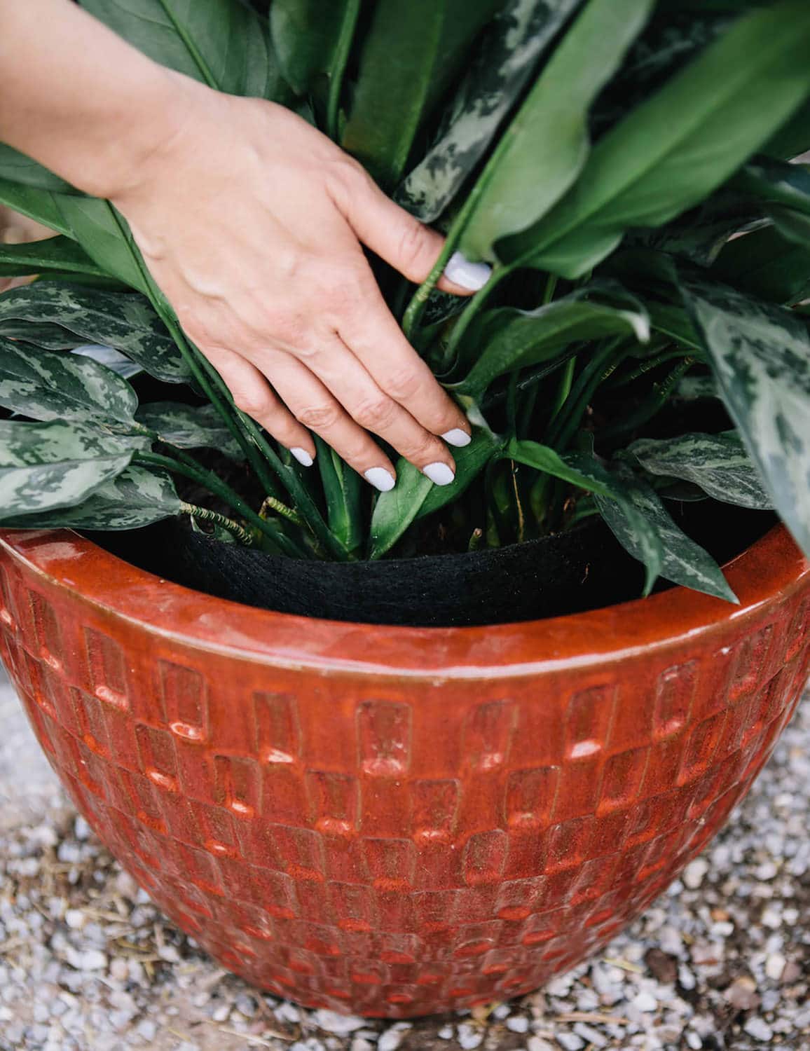 Smart Pot Fabric Planter | Heirloom Boulevard