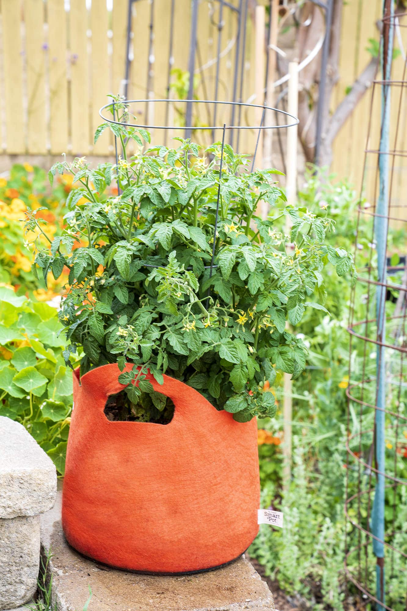 Smart Pot Fabric Planter | Heirloom Boulevard