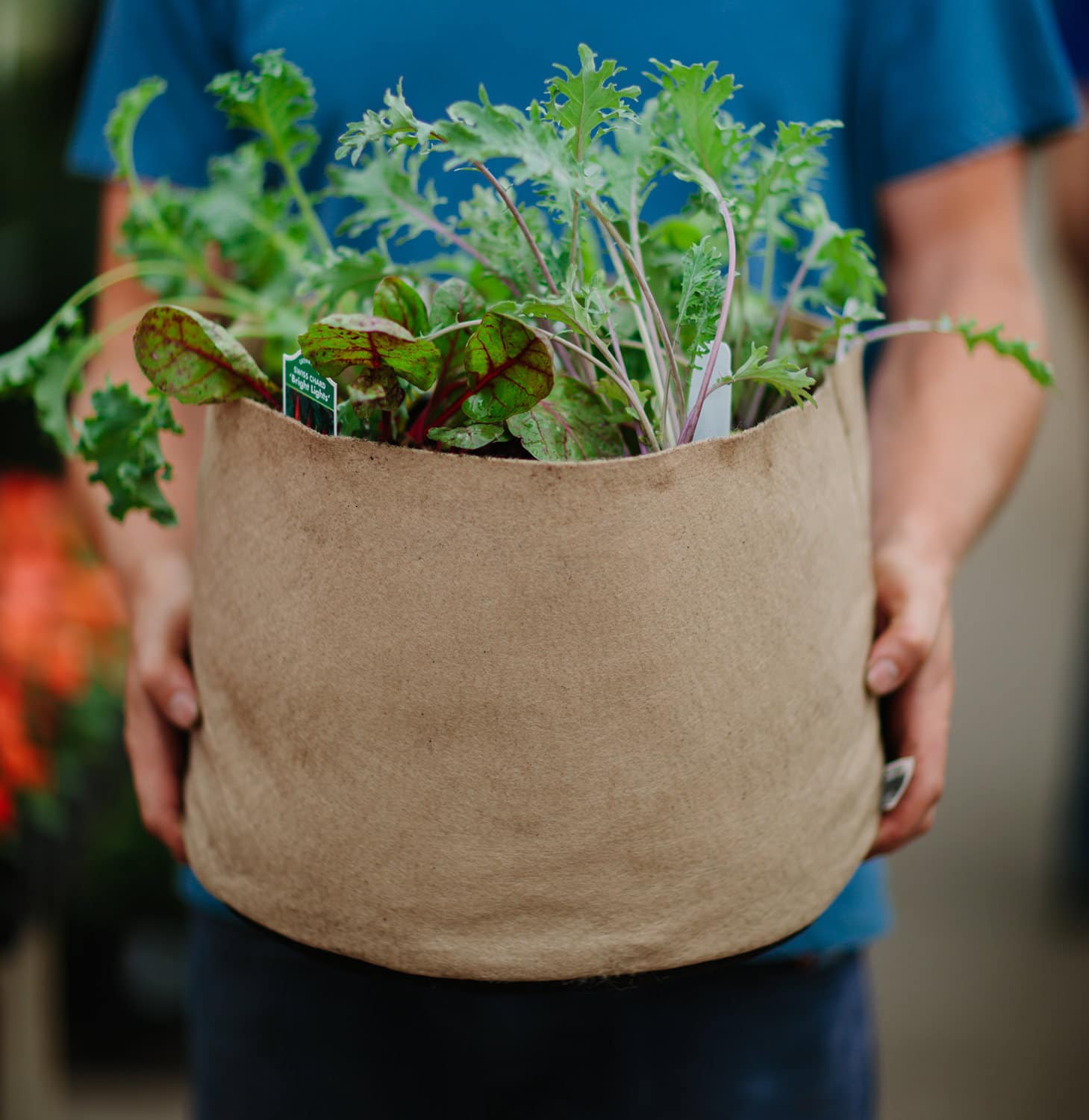 Smart Pot Fabric Planter | Heirloom Boulevard