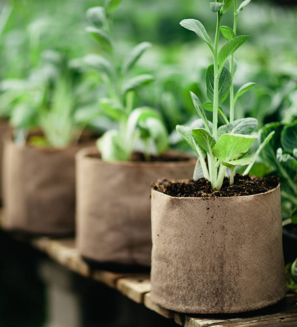 Smart Pot Fabric Planter | Heirloom Boulevard