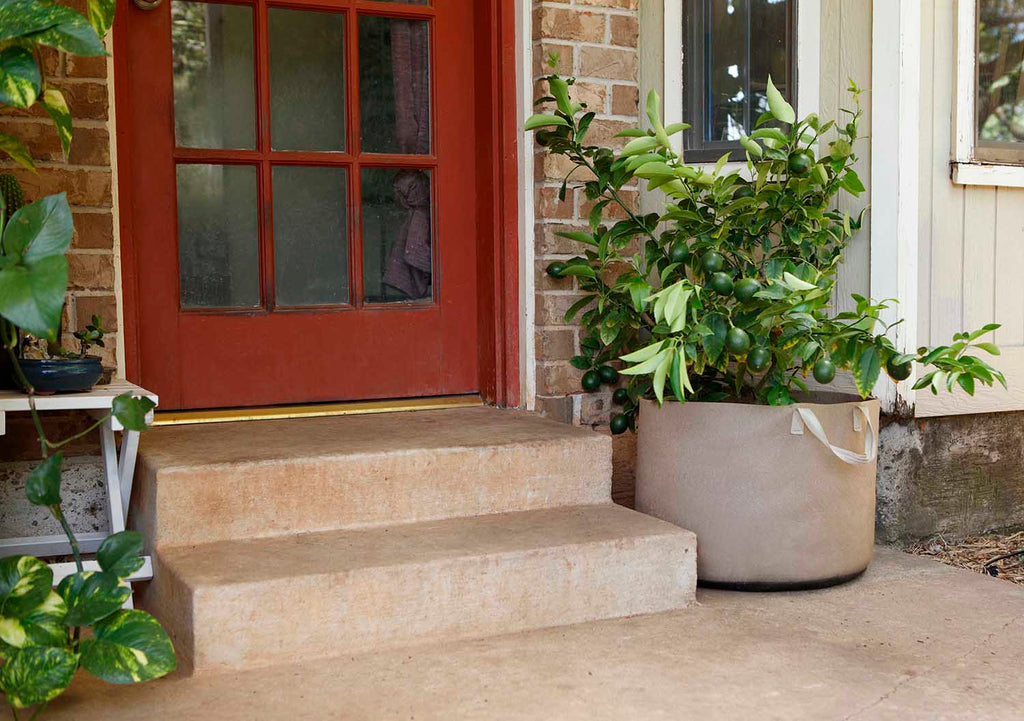 Smart Pot Fabric Planter | Heirloom Boulevard