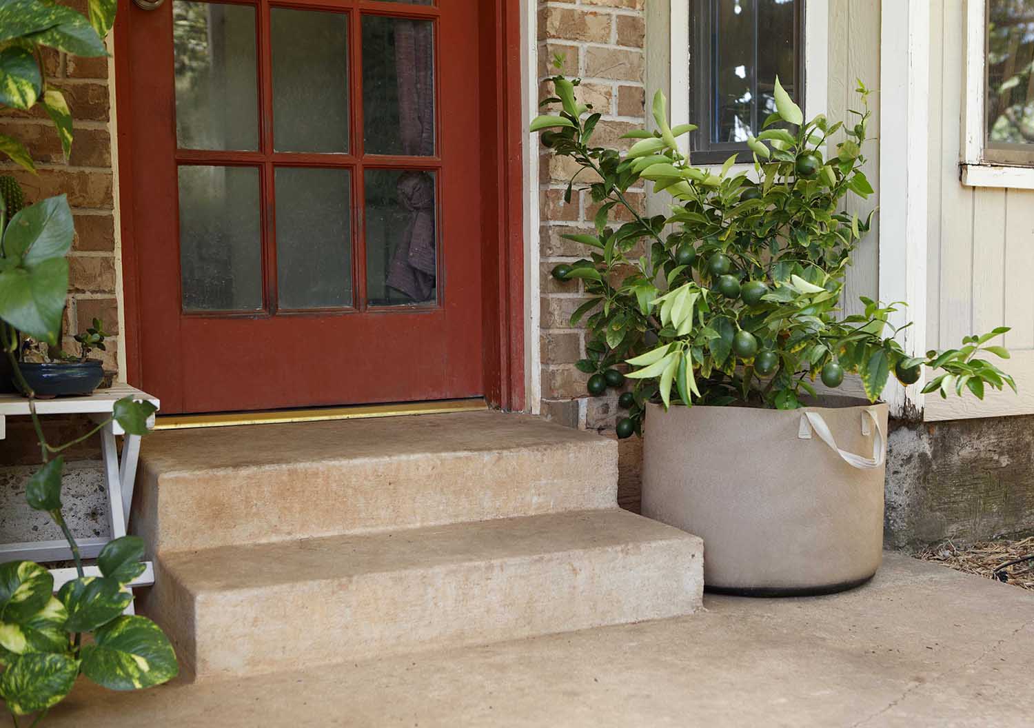 Smart Pot Fabric Planter | Heirloom Boulevard