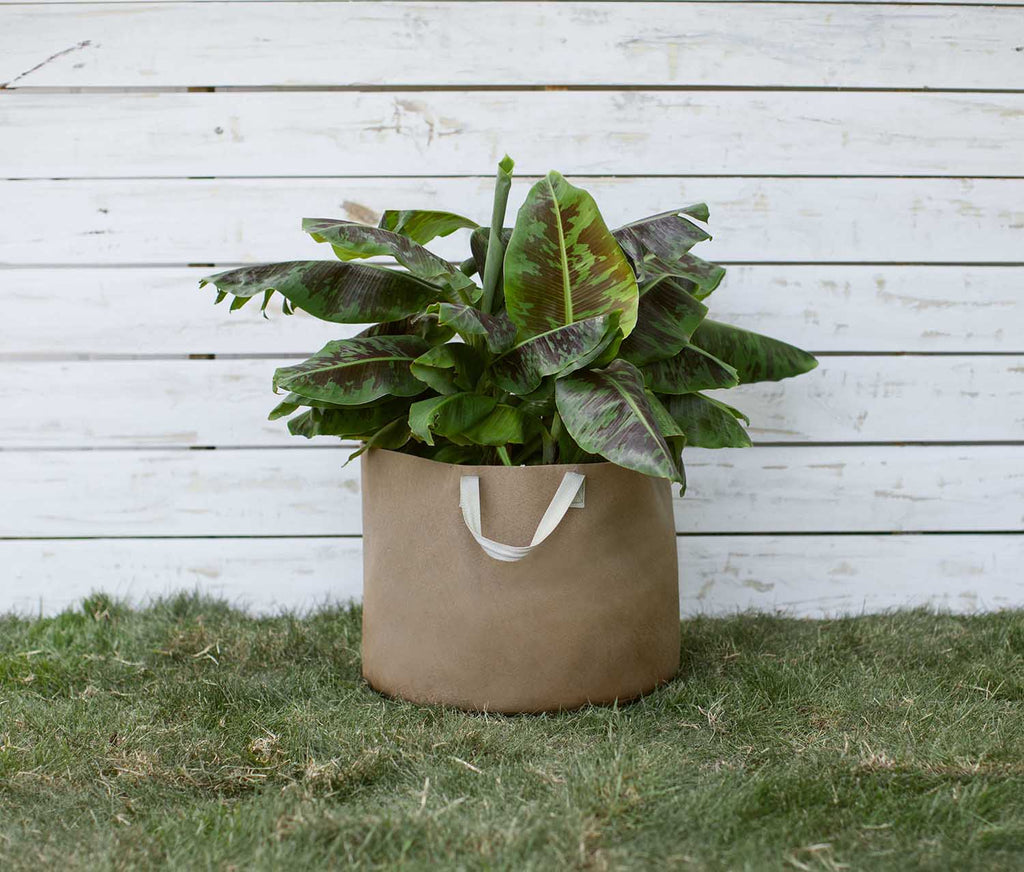 Smart Pot Fabric Planter | Heirloom Boulevard