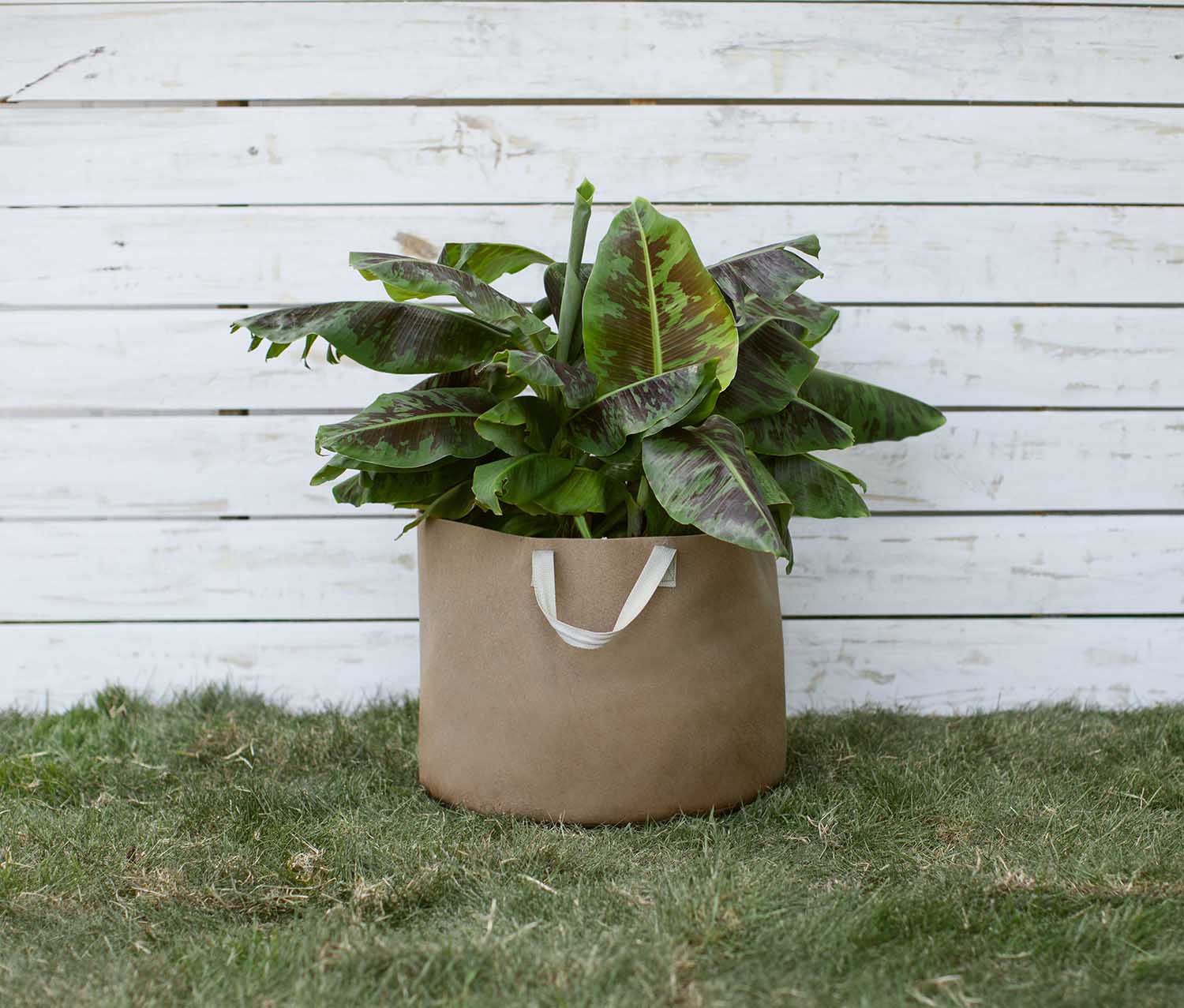 Smart Pot Fabric Planter | Heirloom Boulevard