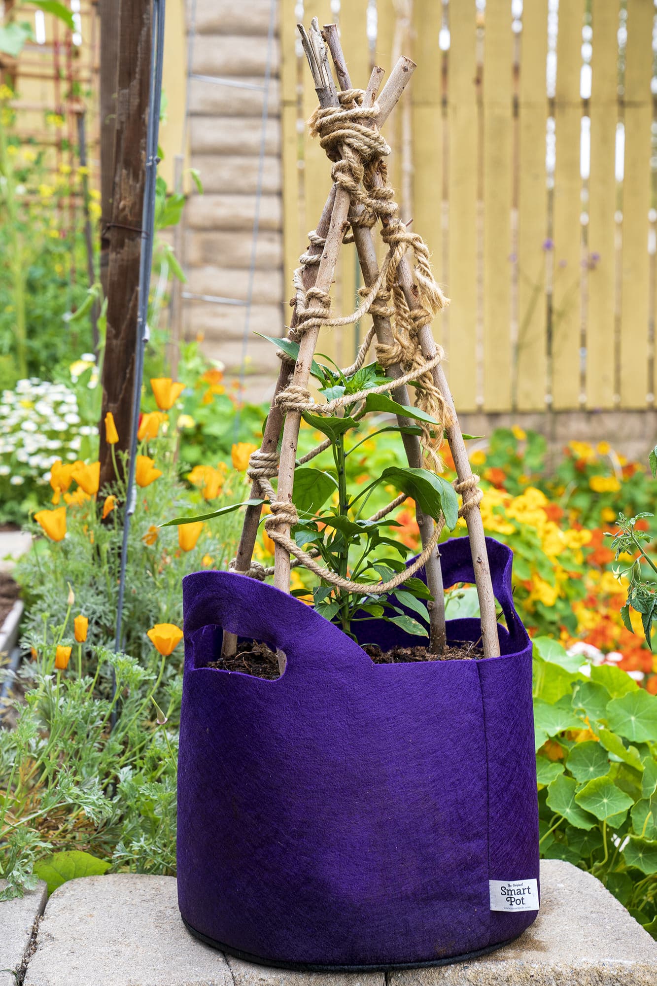 Smart Pot Fabric Planter | Heirloom Boulevard