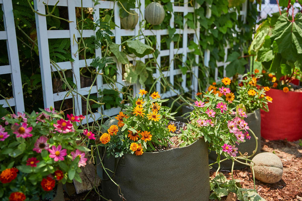 Smart Pot Fabric Planter | Heirloom Boulevard