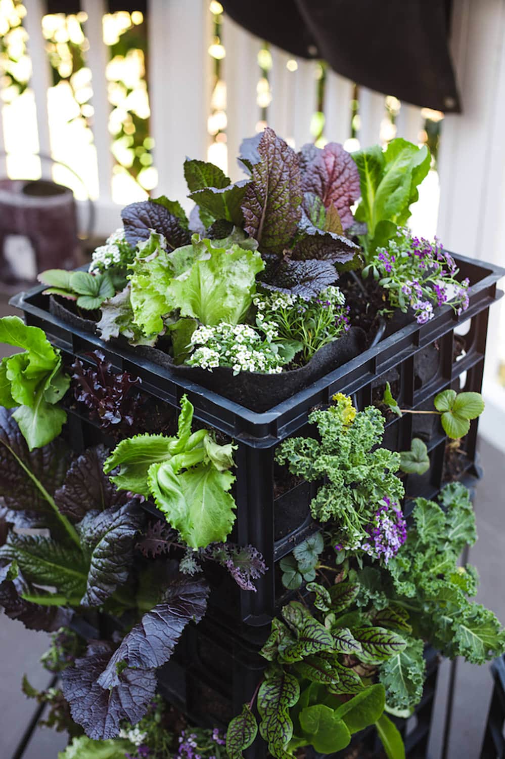Smart Pot Milk Crate Liner | Heirloom Boulevard