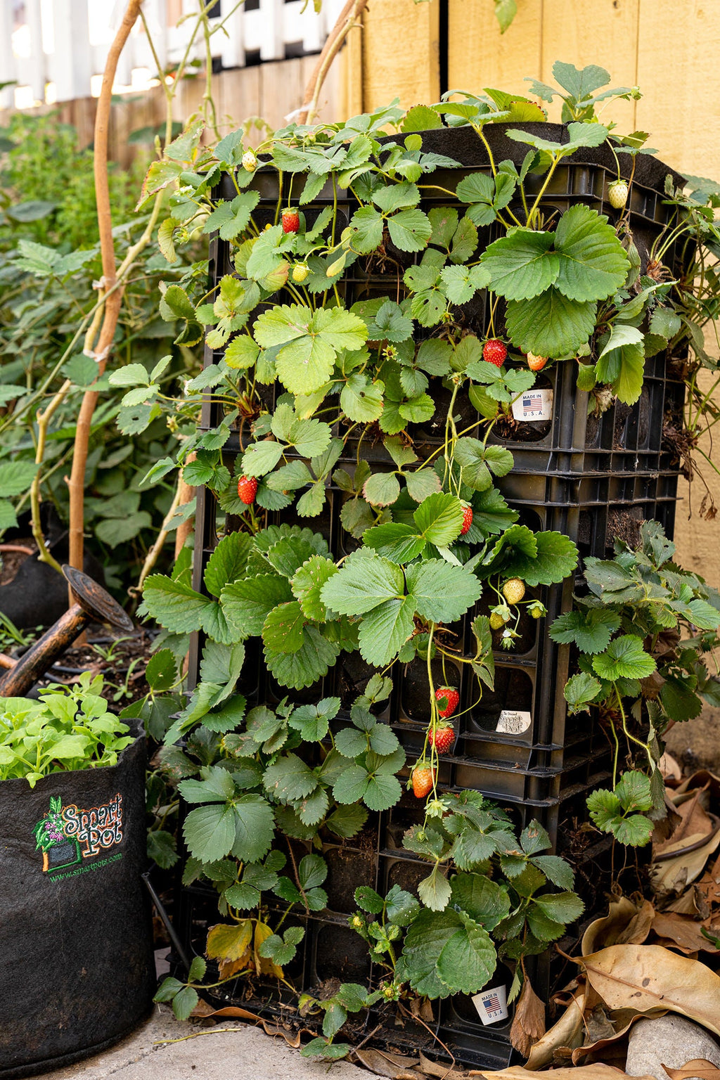 Smart Pot Milk Crate Liner | Heirloom Boulevard