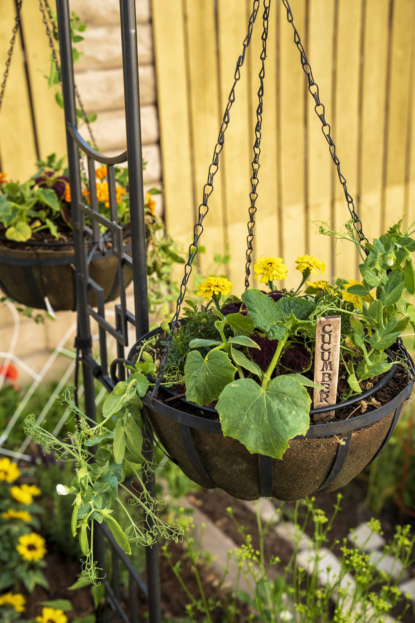 Smart Pot NoCoco Liner | Heirloom Boulevard