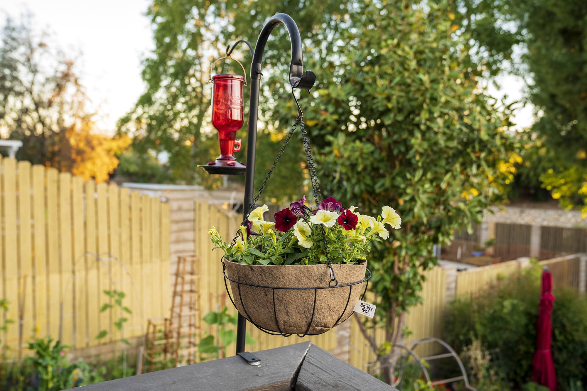 Smart Pot NoCoco Liner | Heirloom Boulevard