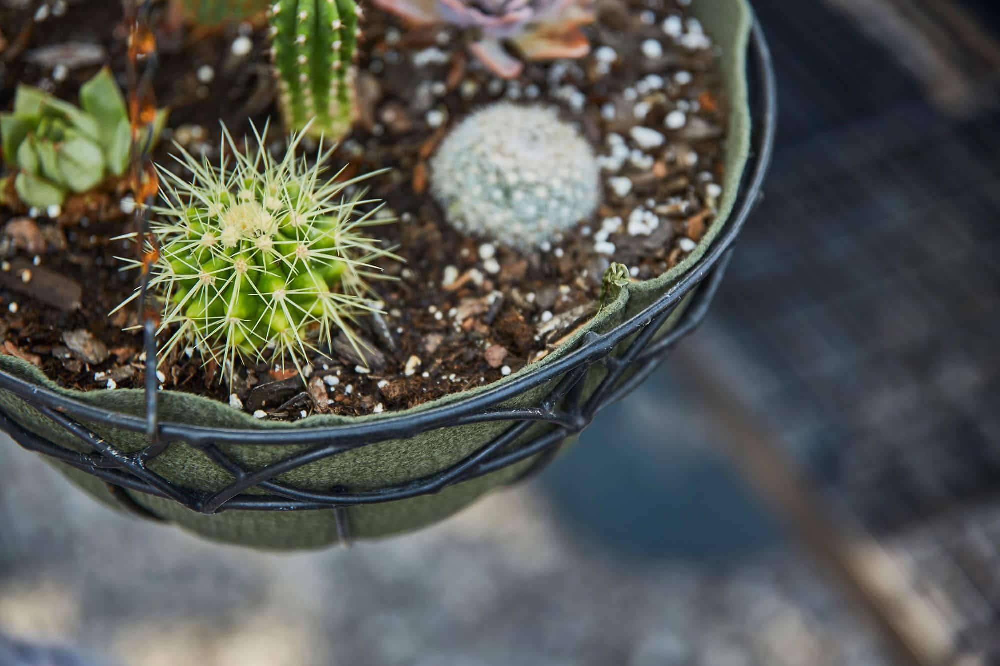 Smart Pot NoCoco Liner | Heirloom Boulevard