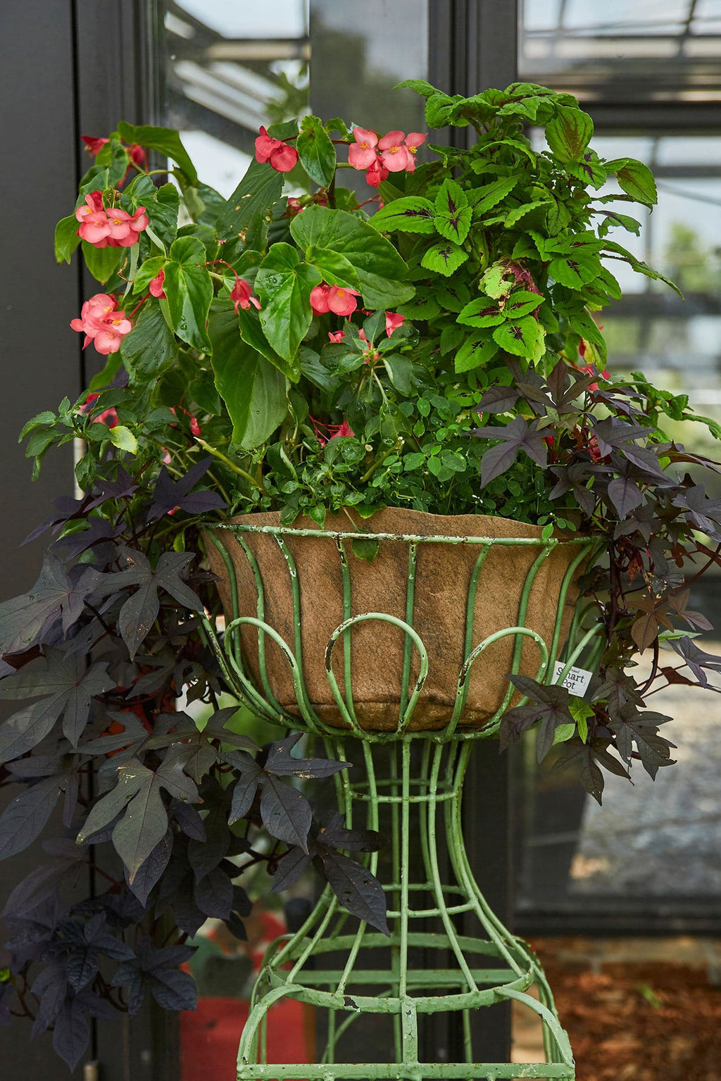 Smart Pot NoCoco Liner | Heirloom Boulevard