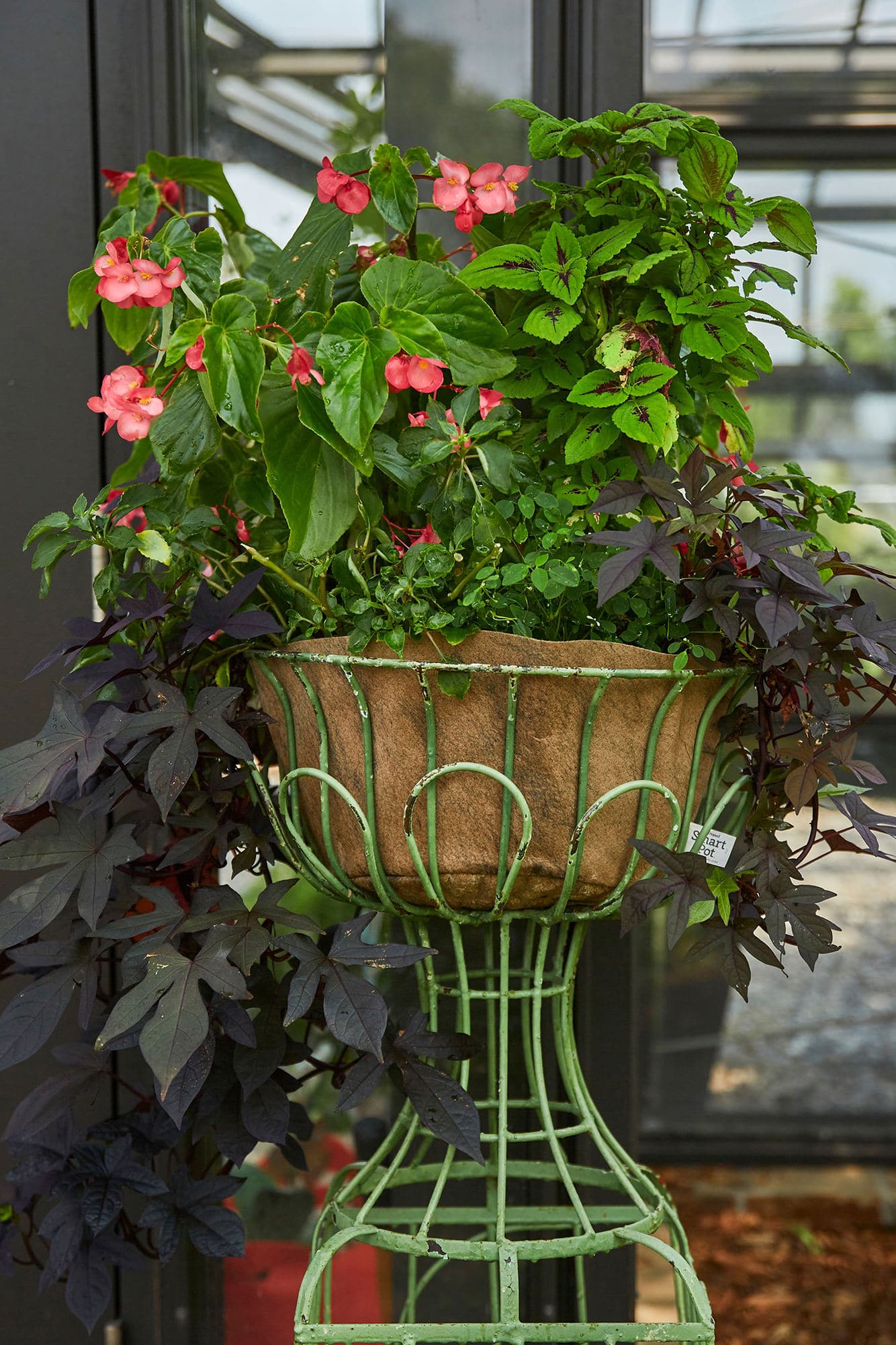 Smart Pot NoCoco Liner | Heirloom Boulevard