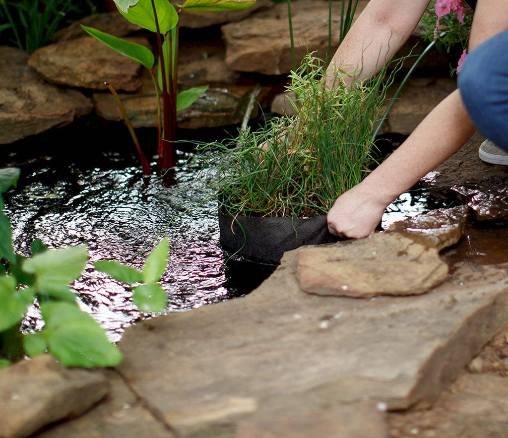 Smart Pot Pond Pot | Heirloom Boulevard
