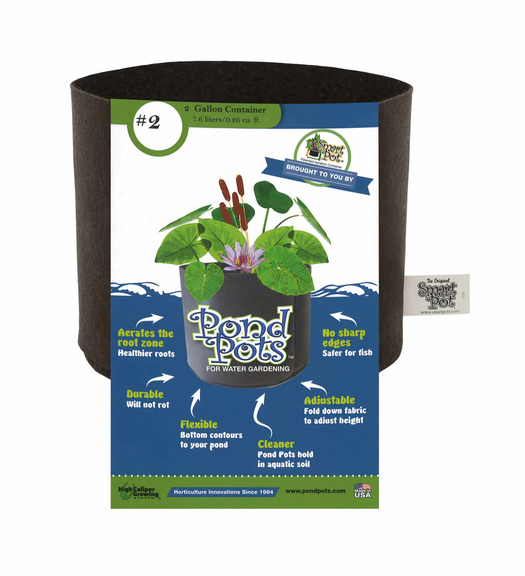 Smart Pot Pond Pot 2 Gallon | Heirloom Boulevard
