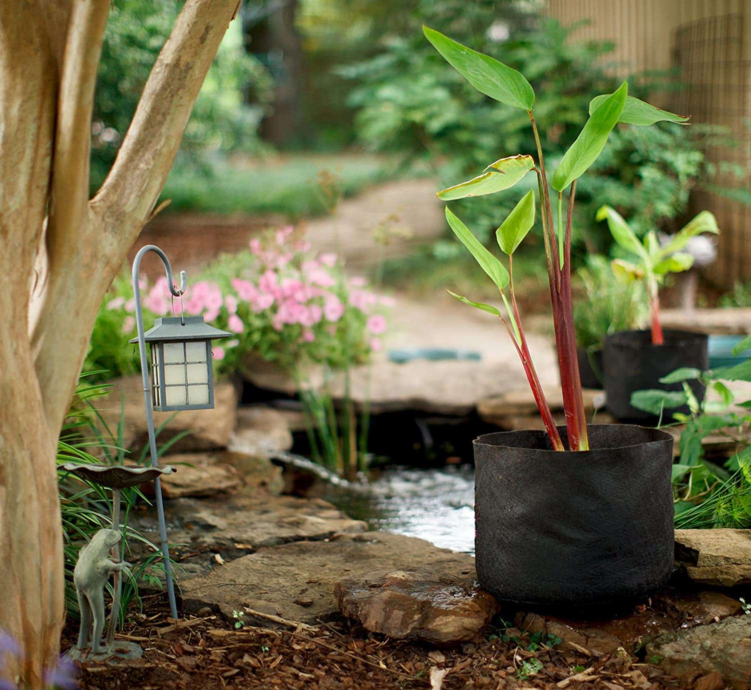 Smart Pot Pond Pot | Heirloom Boulevard
