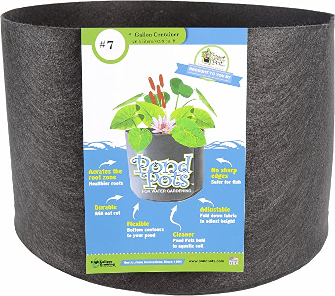 Smart Pot Pond Pot 7 Gallon | Heirloom Boulevard