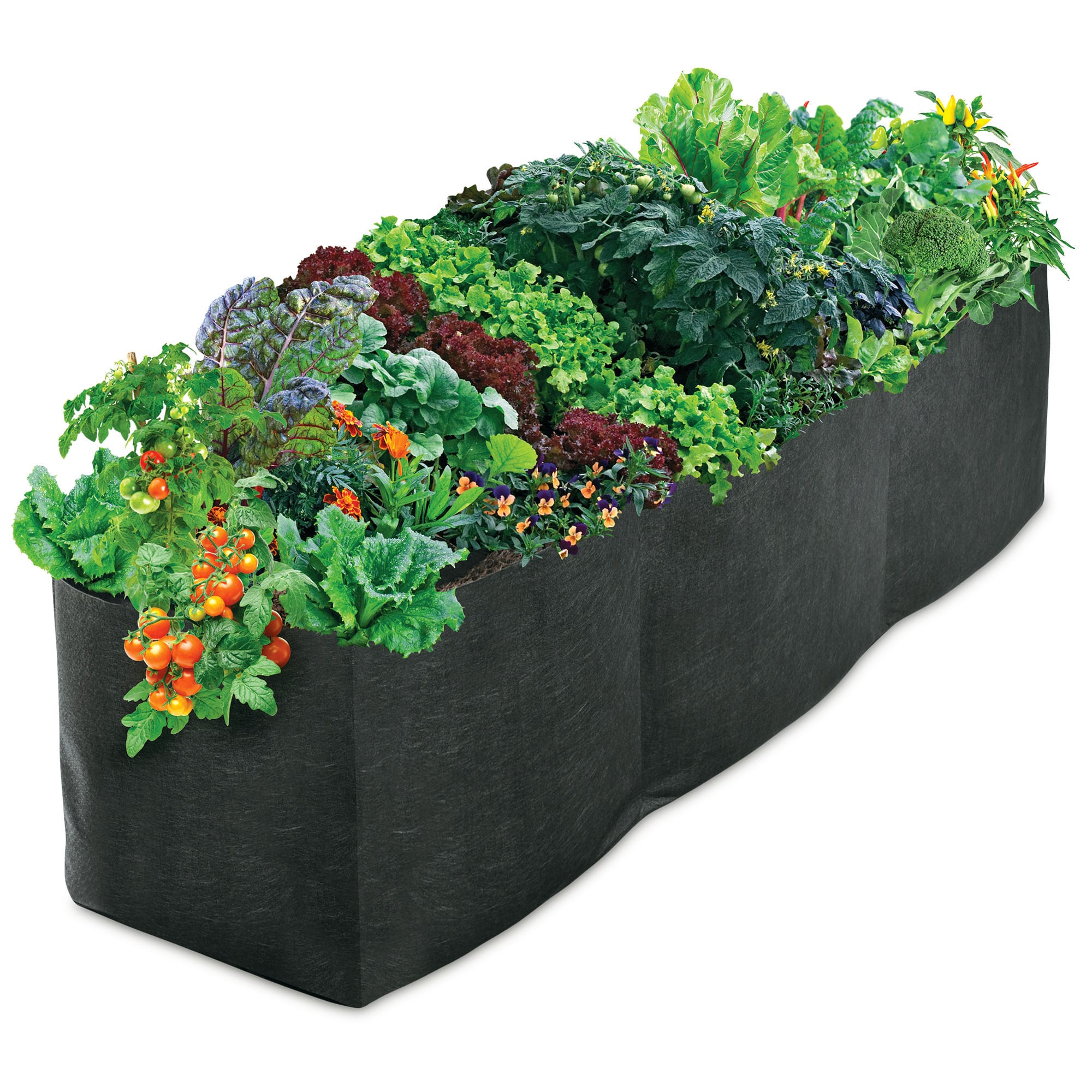 Smart Pot Raised Bed Planter | Heirloom Boulevard