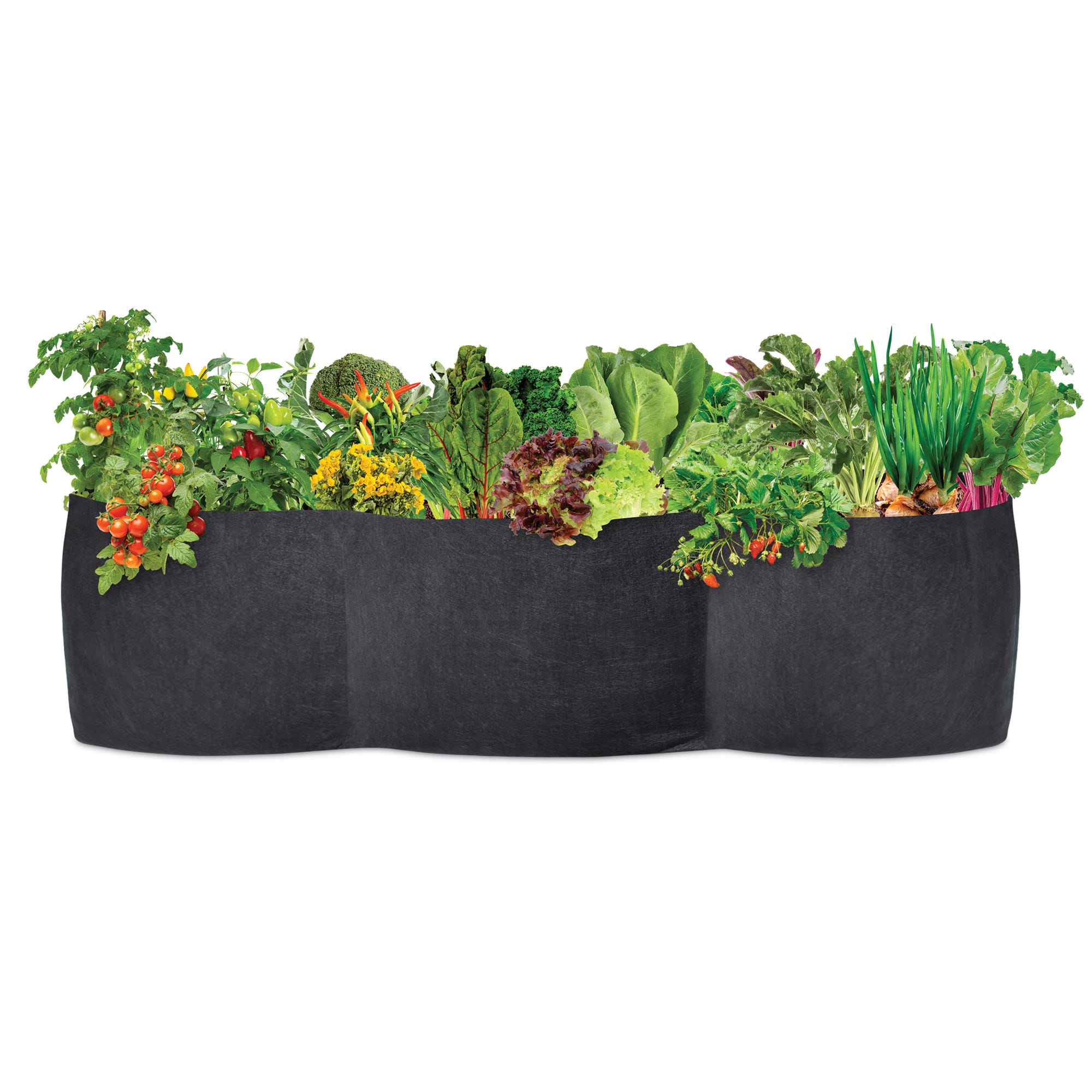Smart Pot Raised Bed Planter | Heirloom Boulevard